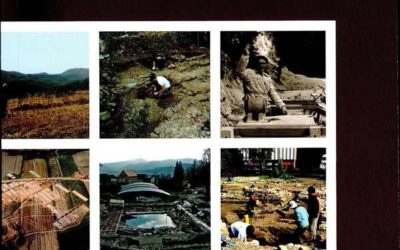 Izdanja Hrvatskog arheološkog društva, svezak 28 Arheologija varaždinskog kraja i srednjeg podravlja (Znanstveni skup) [Osvrt Robert Tabula]